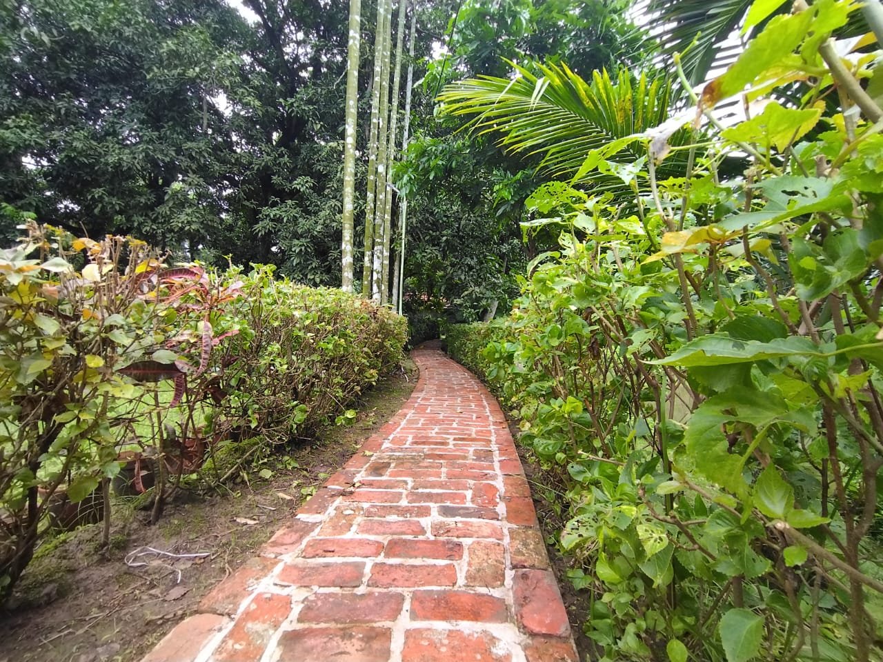 Lila Villa Gallery 17